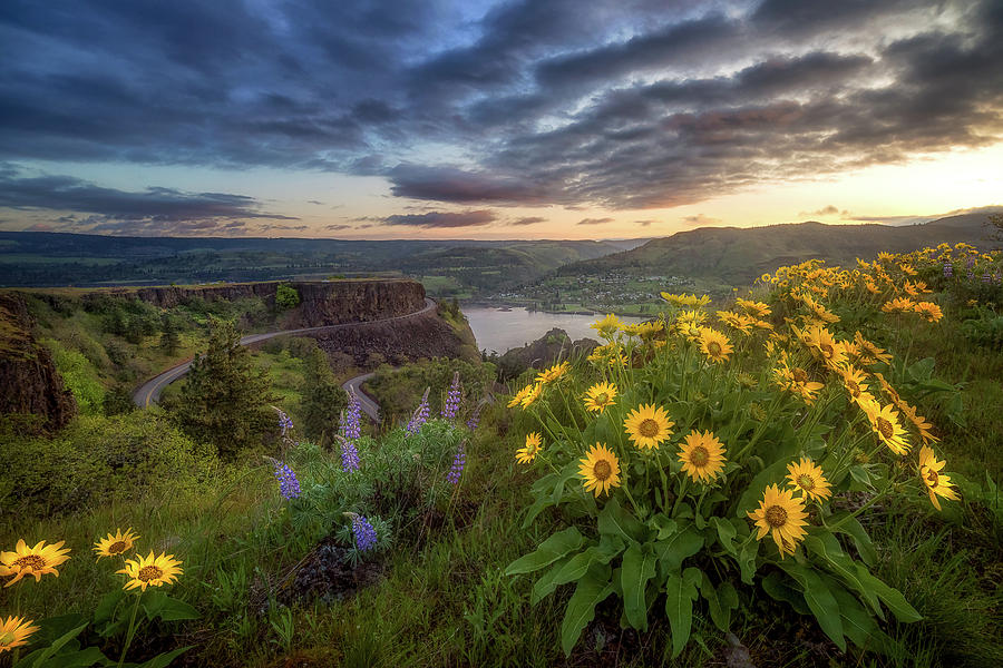 Columbia River Gorge Sunrise Photograph by Gary Randall