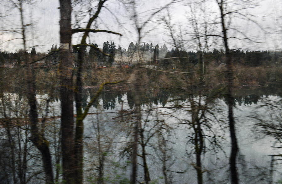 The Great Train Robbery Photograph - Columbia River Gorge Trees by Kyle Hanson