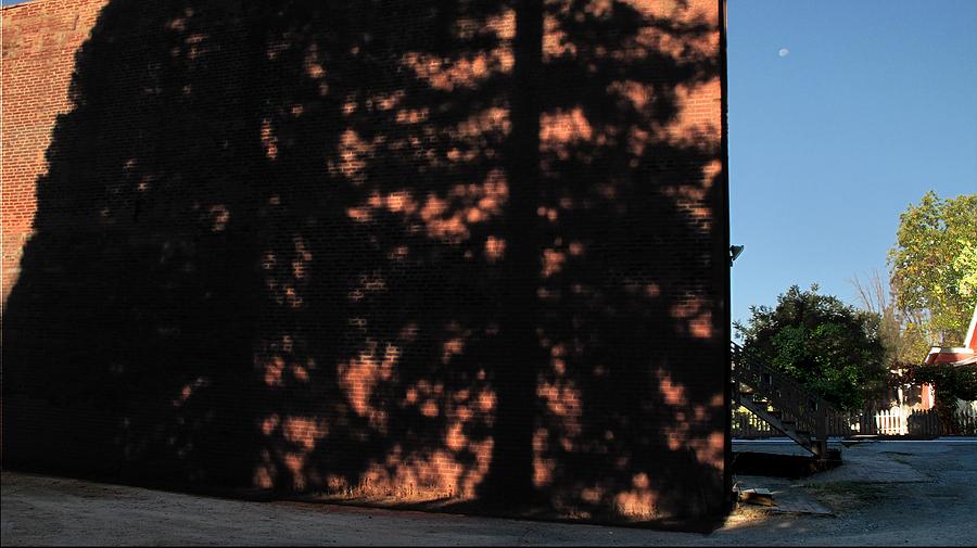 Columbia Wall with Tree Shadow Photograph by Larry Darnell