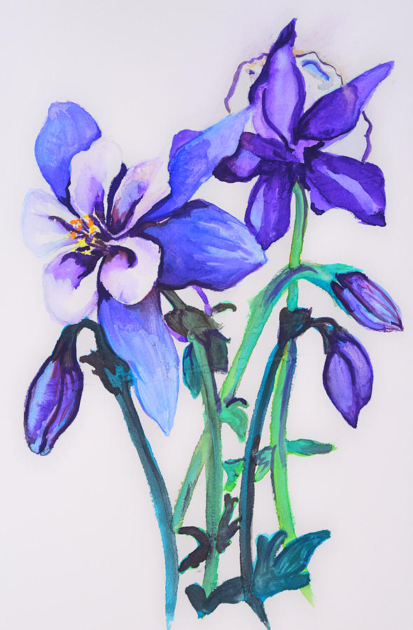 Columbine Painting by Jennifer Andrews - Fine Art America