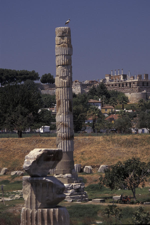 Column Temple Of Artemis In Ephesus Photograph by Richard Nowitz