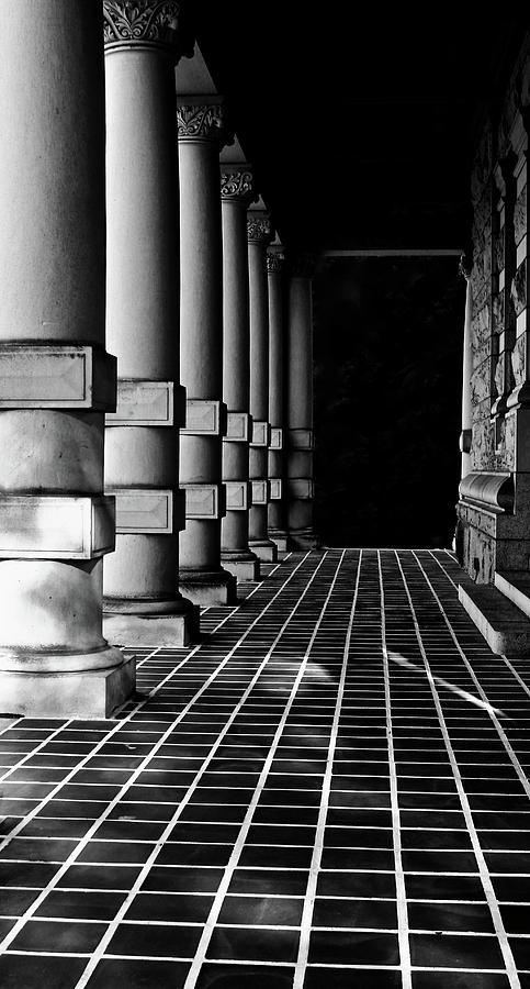 Columns 7 Photograph by Brian Sereda