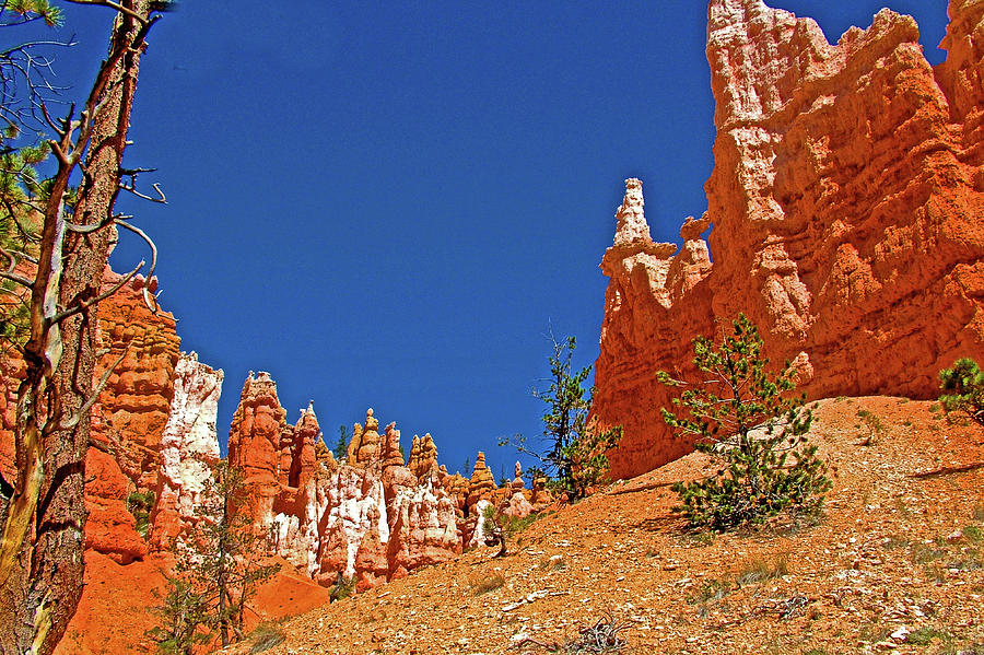 Columns along Queens Garden Trail in  Bryce National Park, Utah Photograph by Ruth Hager