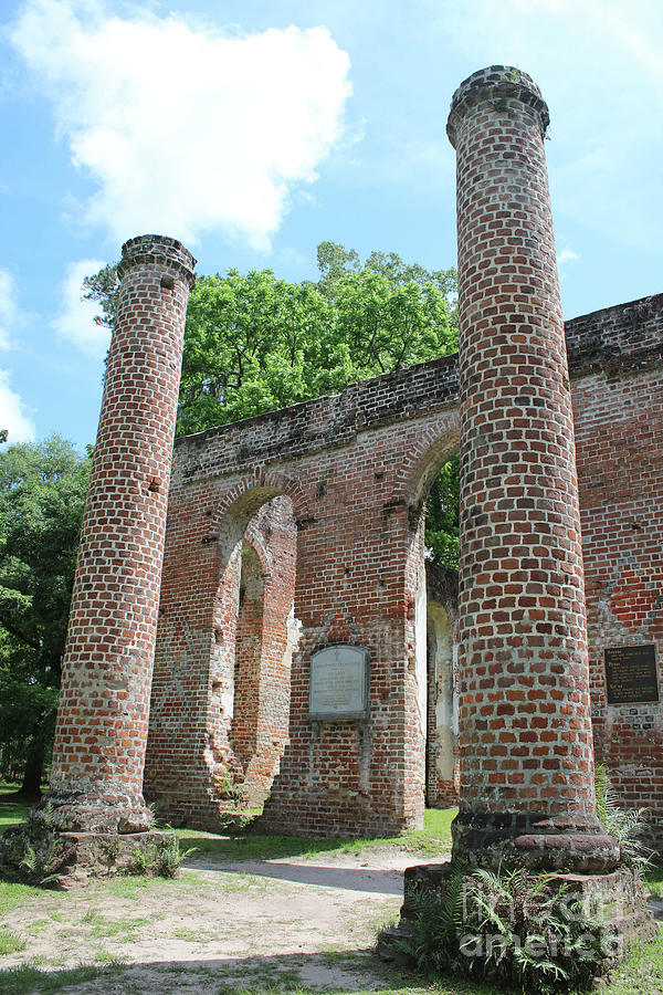 Columns at Old Sheldon Church Ruins Photograph by Carol Groenen