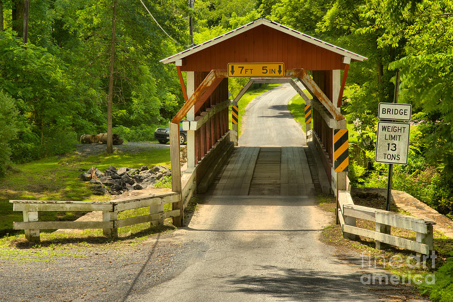 Colvin Covered Bridge In The Forest Photograph by Adam Jewell