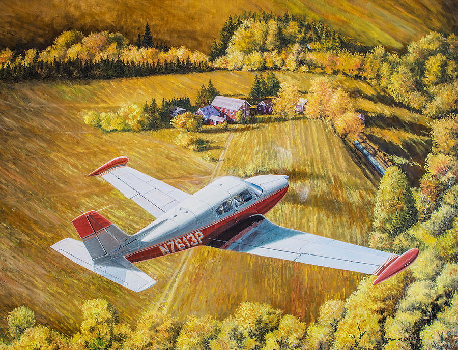 Airplane Painting - Comanche by Douglas Castleman