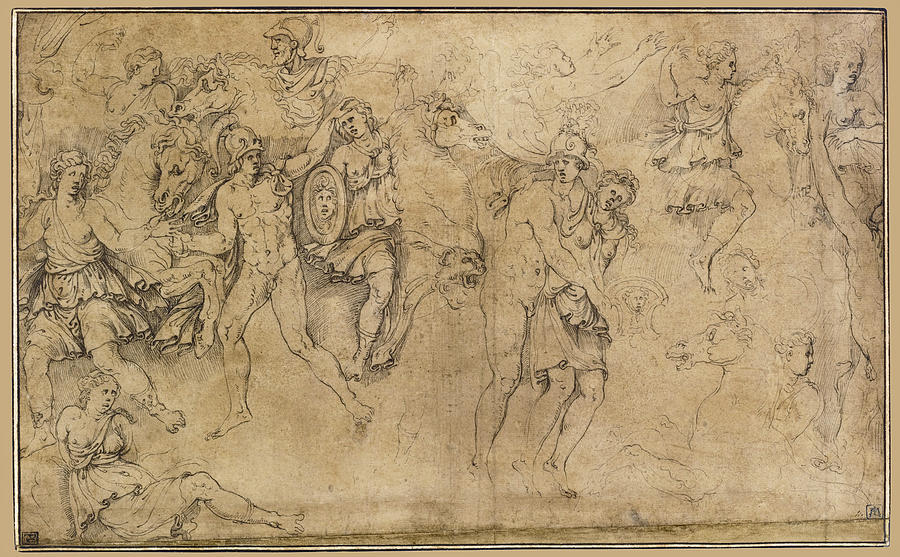Combat of Greeks and Amazons with Achilles and Penthesilea Drawing by Girolamo da Carpi