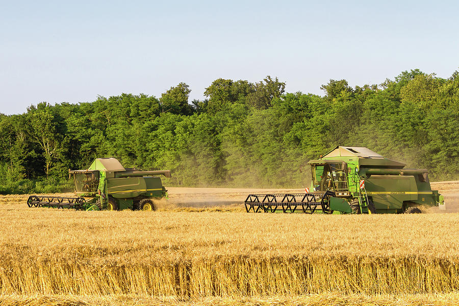 Combine harvesters in a wheat field Photograph by Paul MAURICE