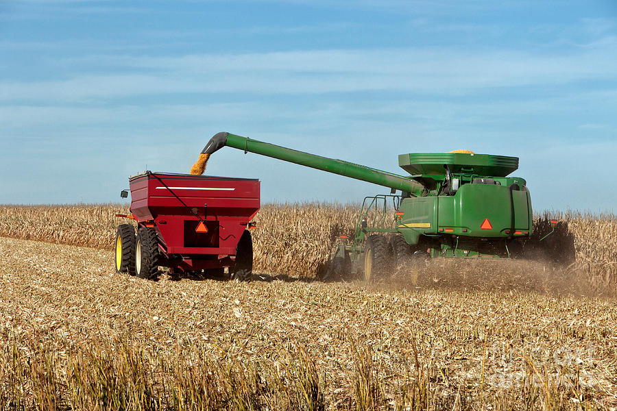 Combine Harvesting Corn Photograph by Inga Spence