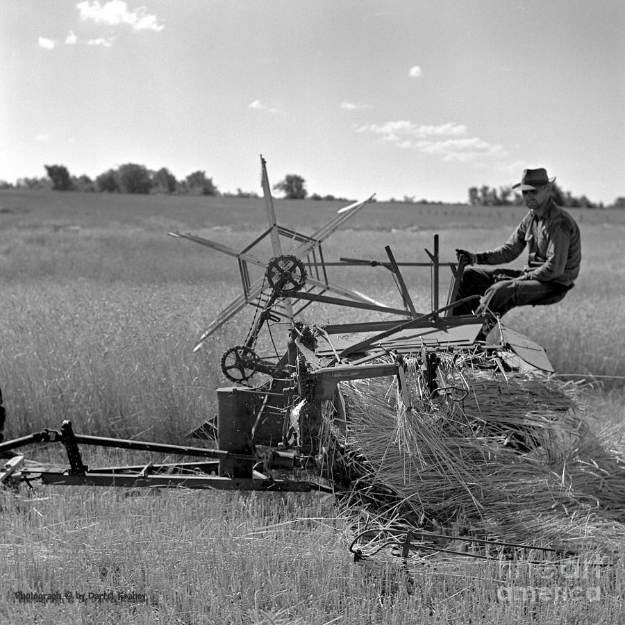 Combine Rider Photograph by Larry Keahey