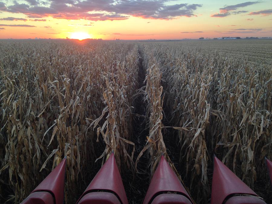 Combine Sunset H Photograph by Dylan Punke