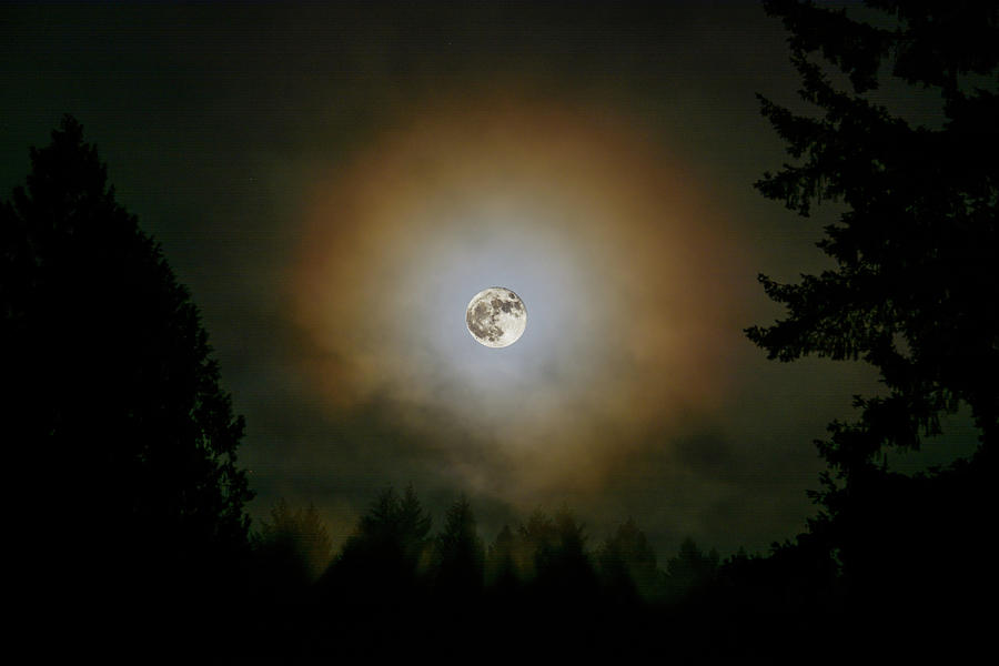 Combined Super Moon Photograph by Tikvahs Hope