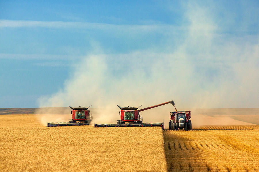 Combines and Tractor Working Together Photograph by Todd Klassy