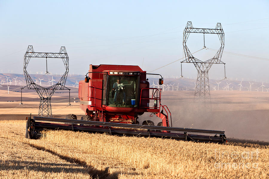 Combines Harvesting Wheat Photograph by Inga Spence