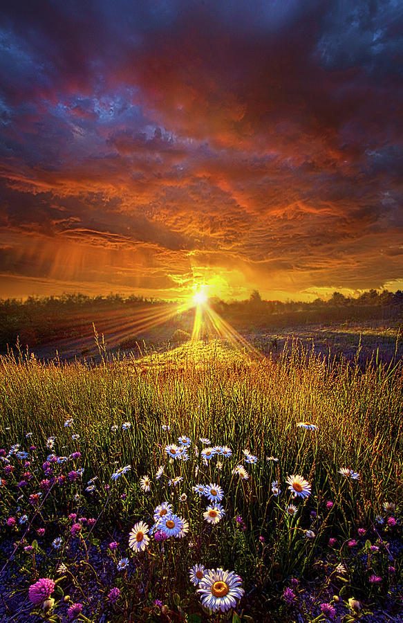 Spring Photograph - Come Again Another Day by Phil Koch