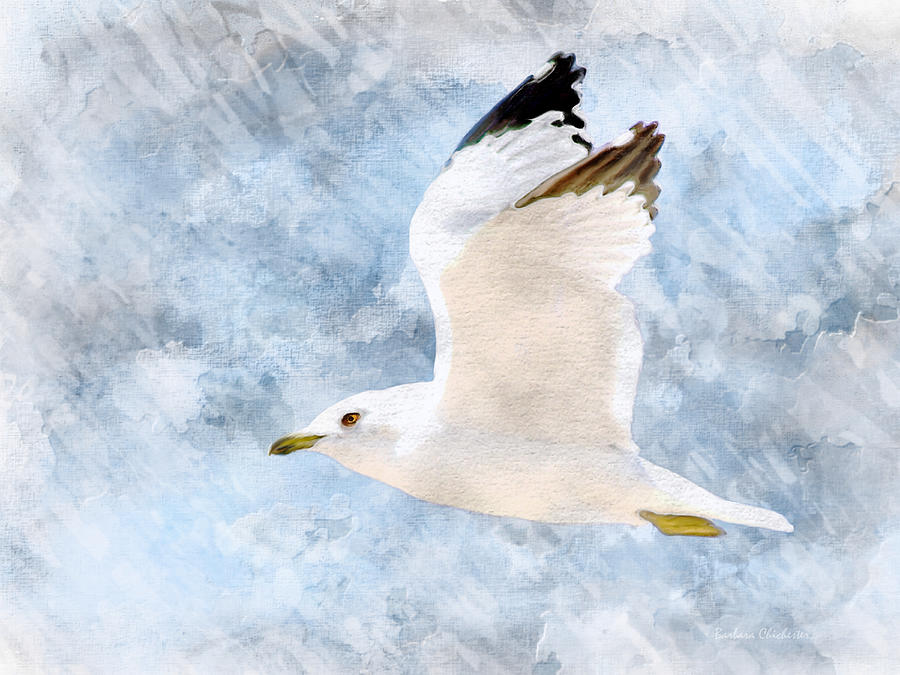 Come Fly With Me Digital Art by Barbara Chichester