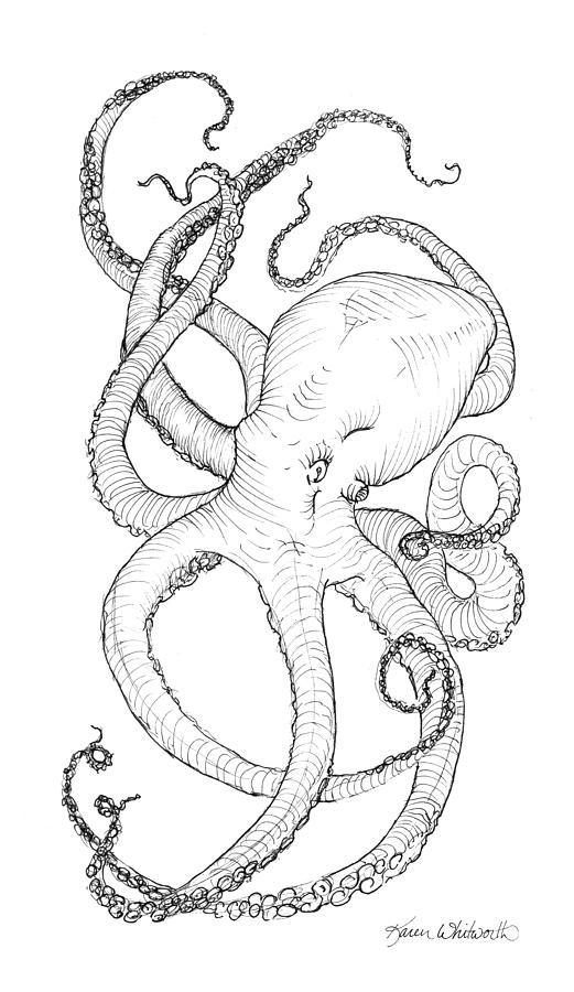 Octopus Drawing - Come Let Me Give You A Hug Octopus Drawing by K Whitworth