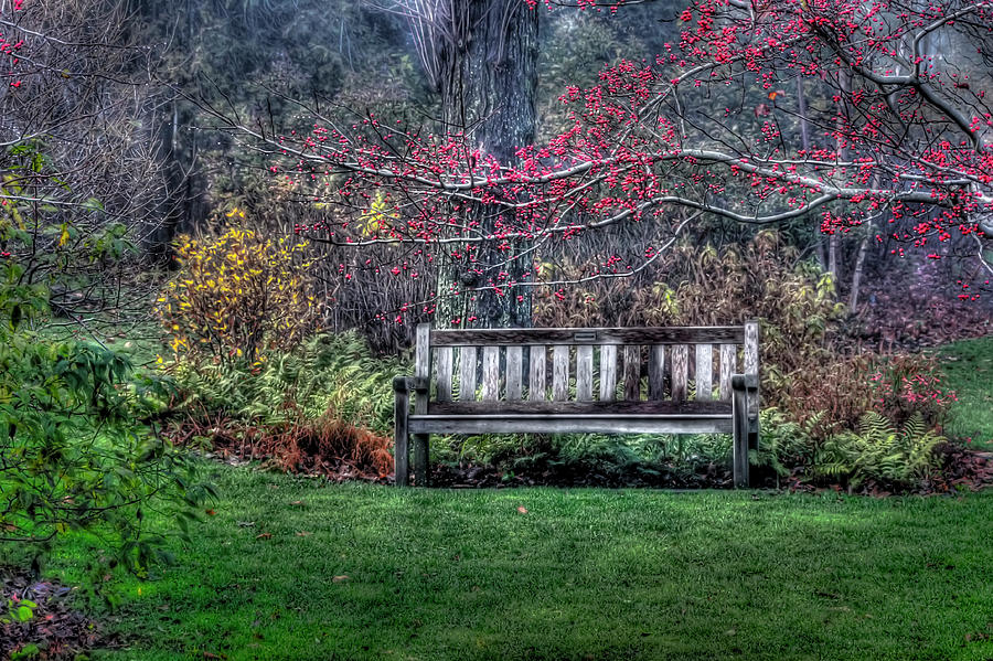 Come Sit with Me Photograph by Jeff Cooper
