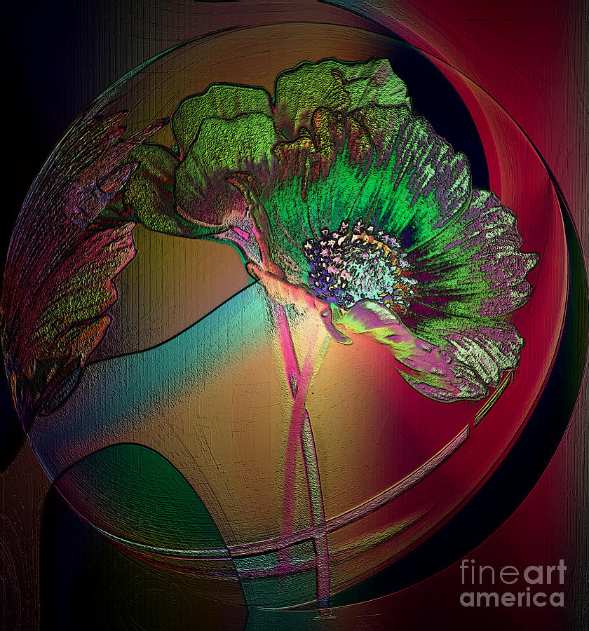 Abstract Photograph - Comely Cosmos by Irma BACKELANT GALLERIES
