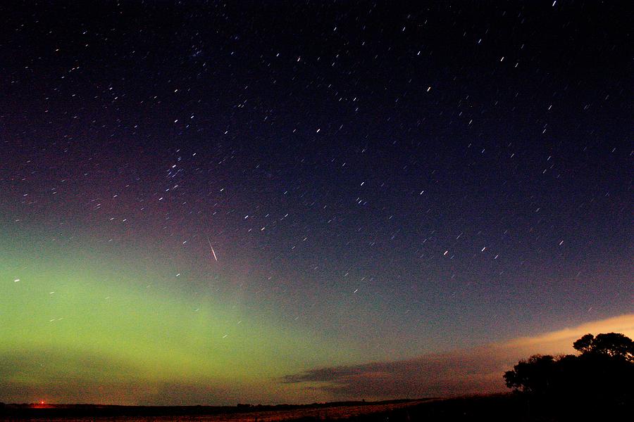 Comet Photograph by David Matthews