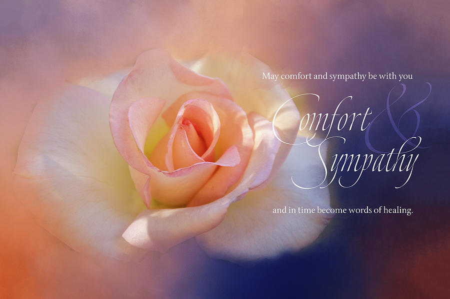 Comfort and Sympathy Digital Art by Terry Davis
