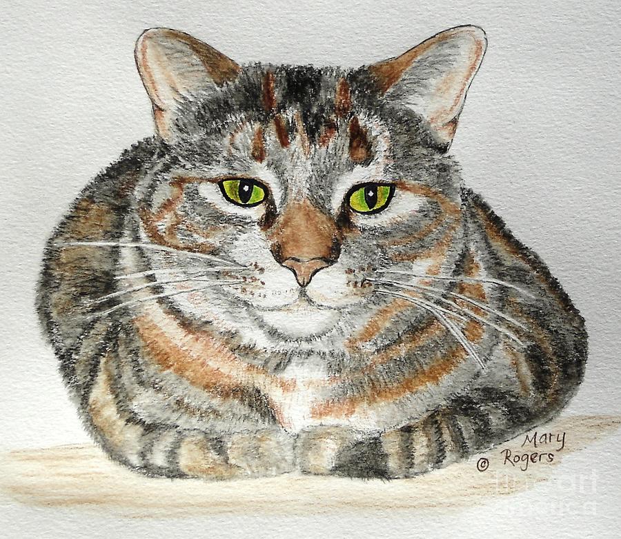 Comfortable Cat Drawing by Mary Rogers