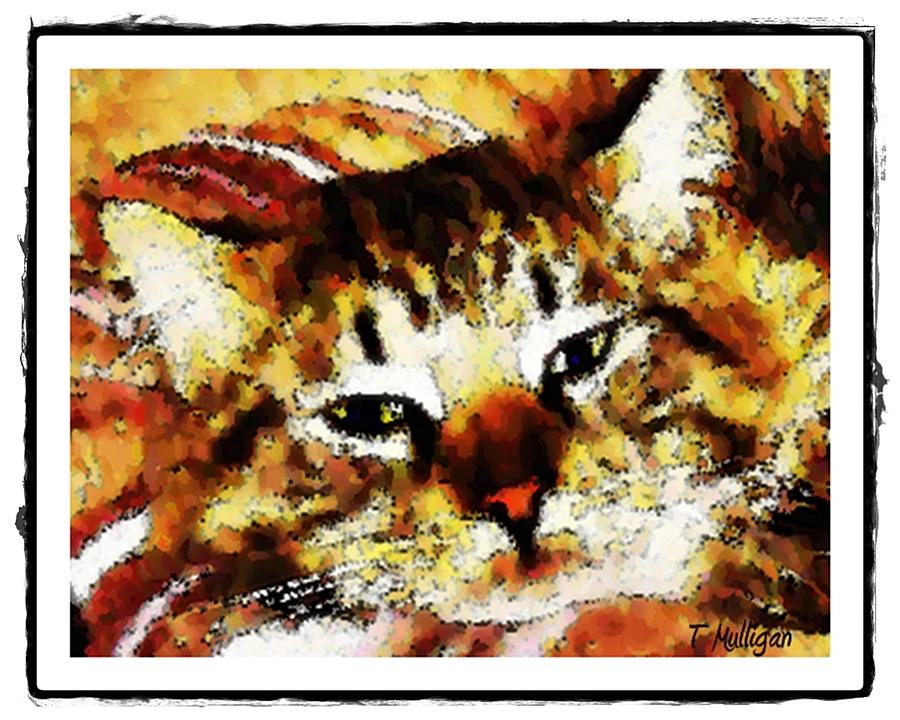 Comfy Kitty Digital Art by Terry Mulligan