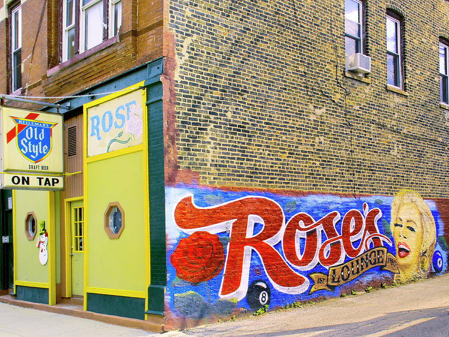 WILD ROSE Chicago IL Photograph by William Dey