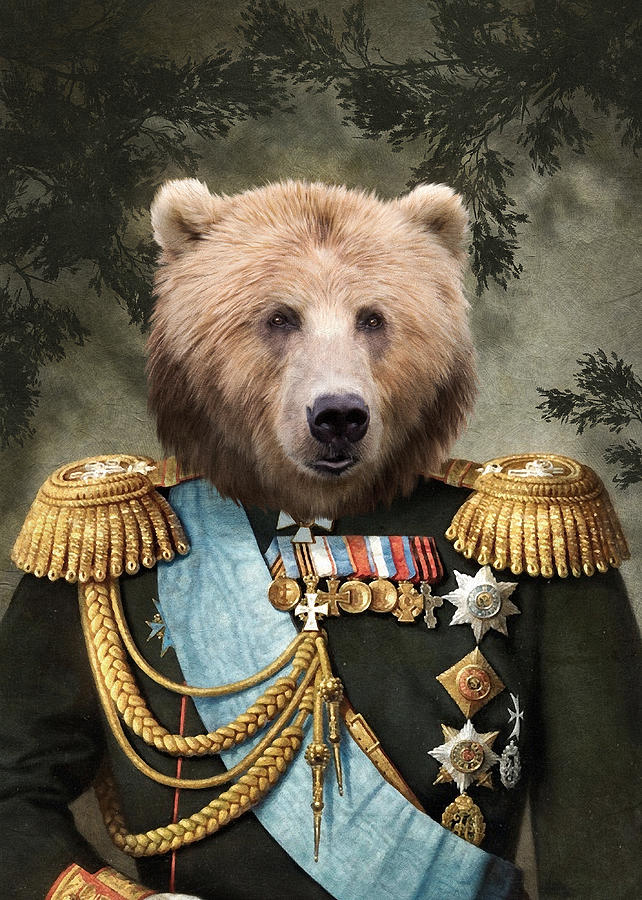 Commander Bear by Matt Van Gorkom