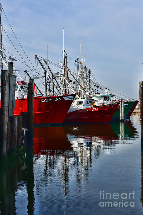 Commercial Fishing Fleet Photograph by Paul Ward