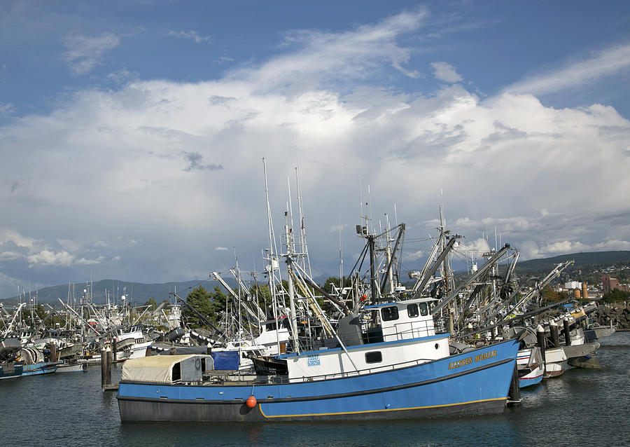Commerical Fishing Boats Photograph by Elvira Butler