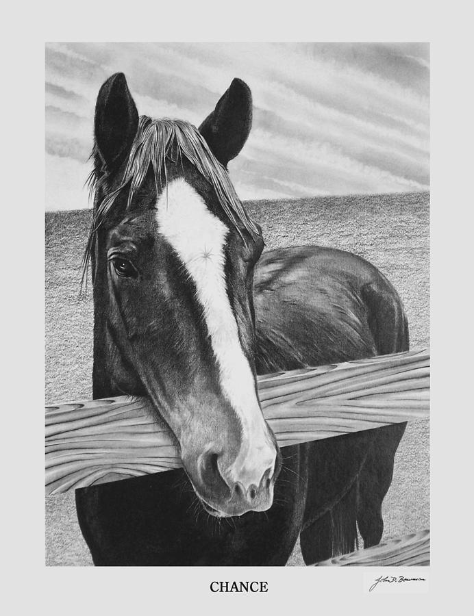 Commissioned Horse Portrait Drawing by John Bowman Fine Art America