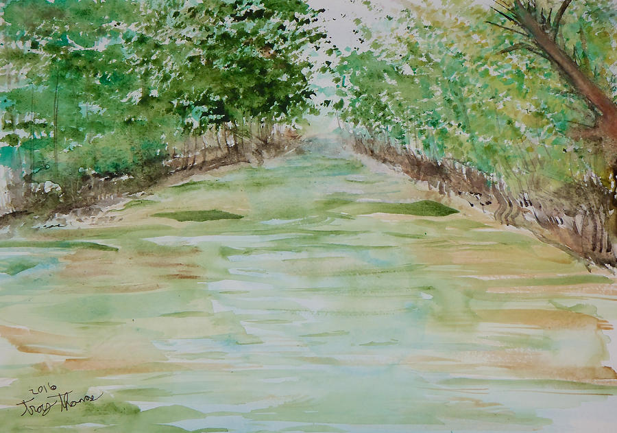 Commodore Creek Kayak trail Painting by Troy Thomas Fine Art America