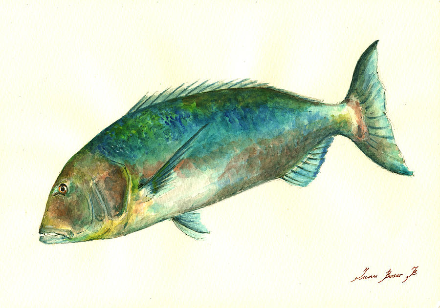 Common Dentex Painting - Common Dentex fish painting by Juan  Bosco