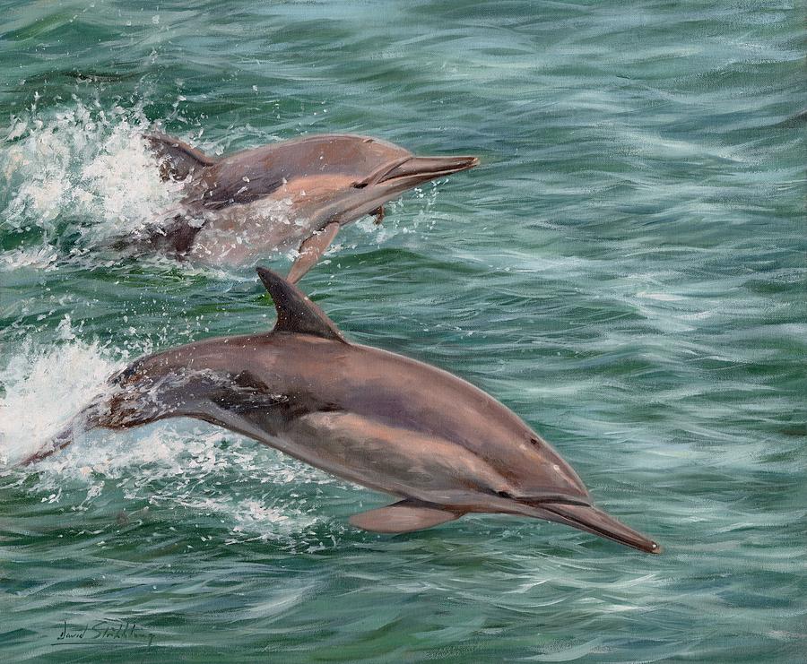 Common Dolphins Painting