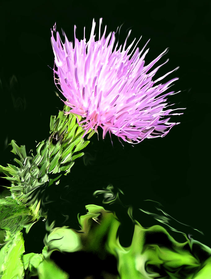 Flowers Still Life Digital Art - Common Weed by Ian  MacDonald