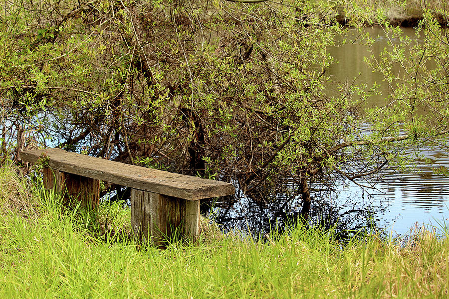 Communing With Nature Photograph by Art Block Collections