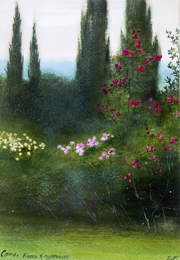 Como Roses and Cypresses Drawing by Edward Clifford