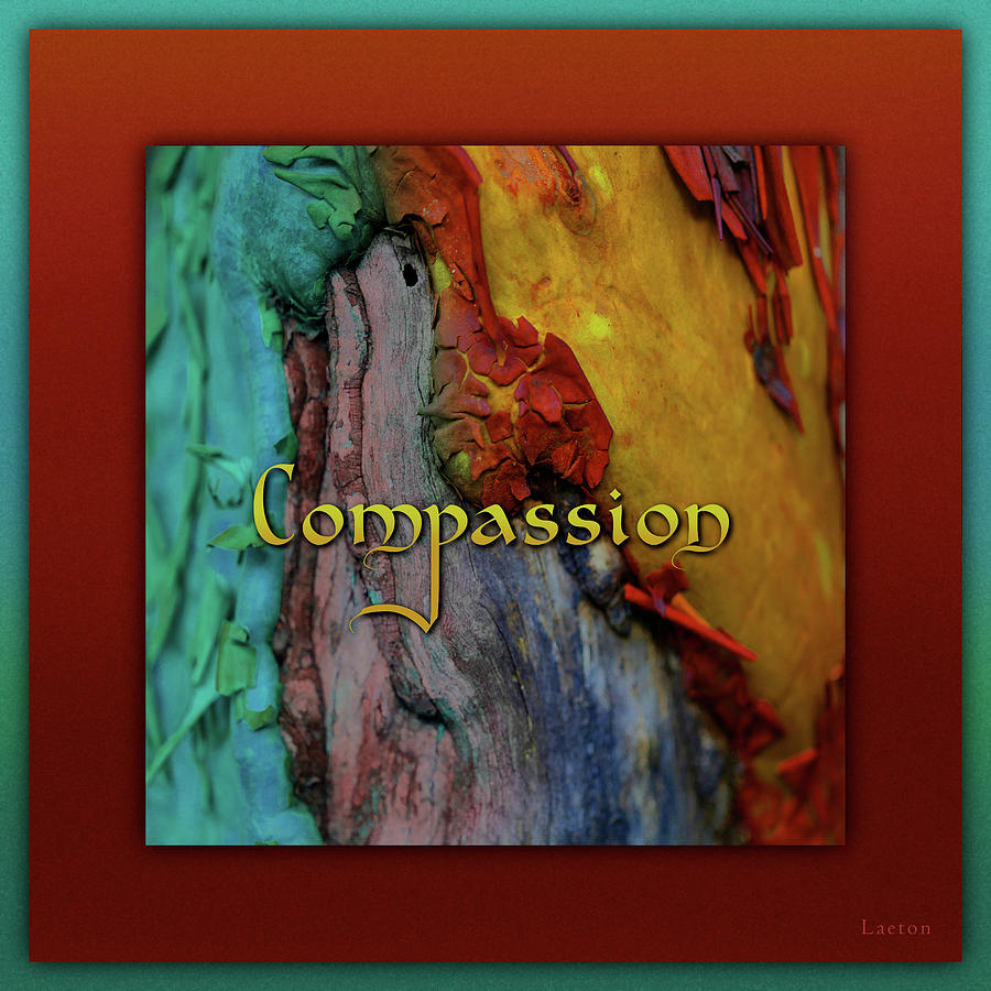 Compassion Digital Art by Richard Laeton