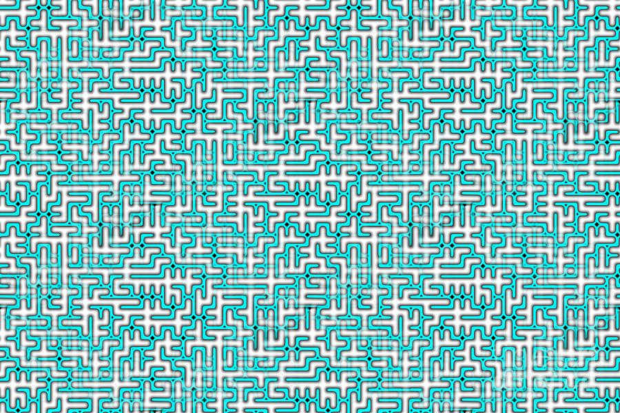 Complex Maze In Green And White Colors Photograph by Yali Shi