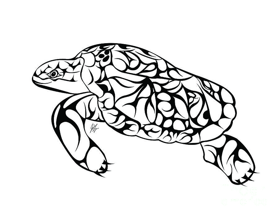 Turtle Digital Art - Complexity by JamieLynn Warber