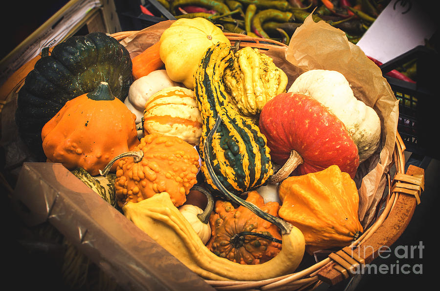 Composition Of Various Gourds In A Basket With Vignetting Photograph by Luca Lorenzelli