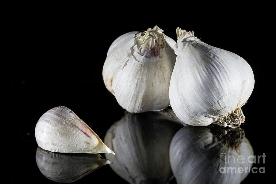 Vegetable Photograph - Composition with Garlic on a black background. by Vyacheslav Isaev