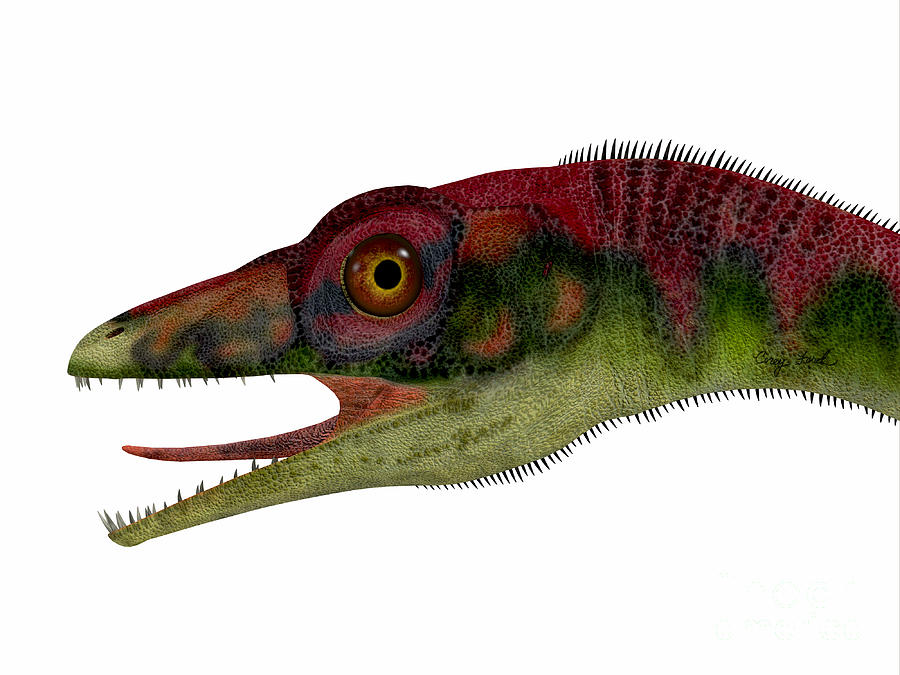 Compsognathus Dinosaur Head Painting By Corey Ford