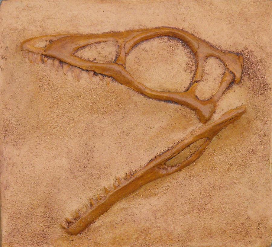 compsognathus bones