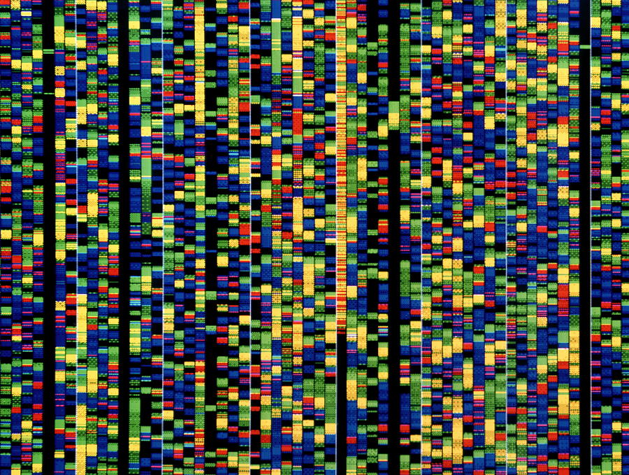 Computer Screen Showing A Human Genetic Sequence Photograph by David Parker