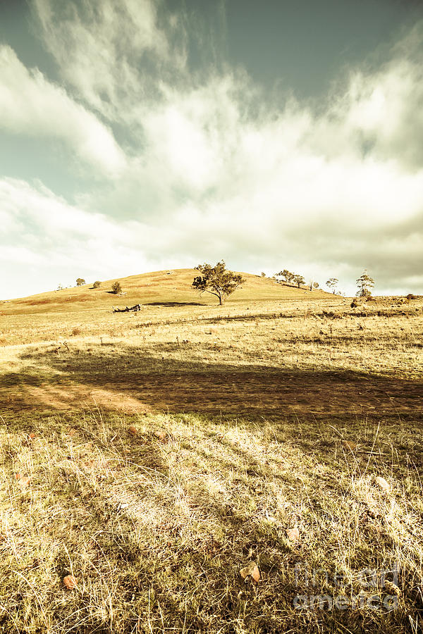 Conara country landscape Photograph by Jorgo Photography