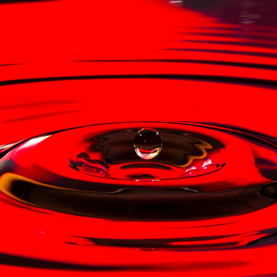 Concentric Red Water Drop Photograph by SR Green