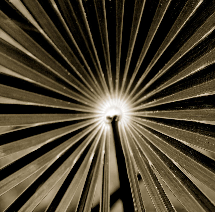 Moon Painting - Concentric by Son Of the Moon Moon Painting - Concentric by Son Of the Moon