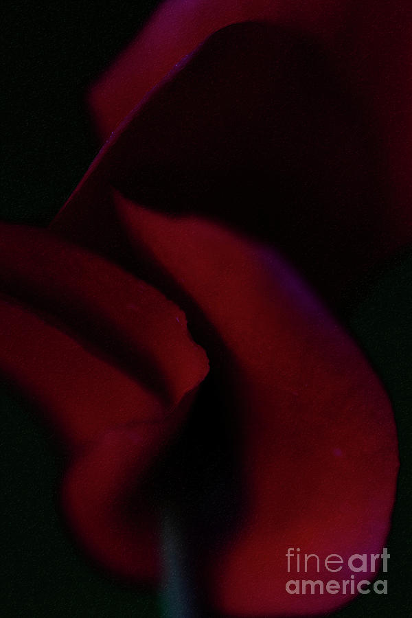 Concerto in Red by C L Lassila Concerto in Red by C L Lassila